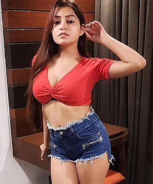 Rohini Escort Service